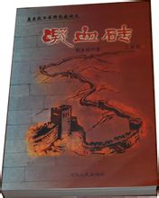 歌颂包森的长篇章回记实小说《凝血砖》